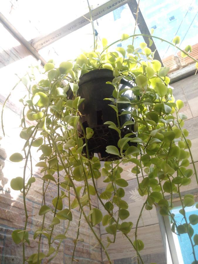 Hà Tiên Homestay Ngoại thất bức ảnh
